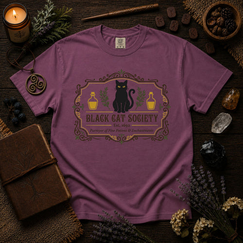 Black Cat Society Shirt Comfort Colors Tee Folklore Clothing Apothecary Graphic TShirt Subtle Witchy Top Mystic Cat Gift