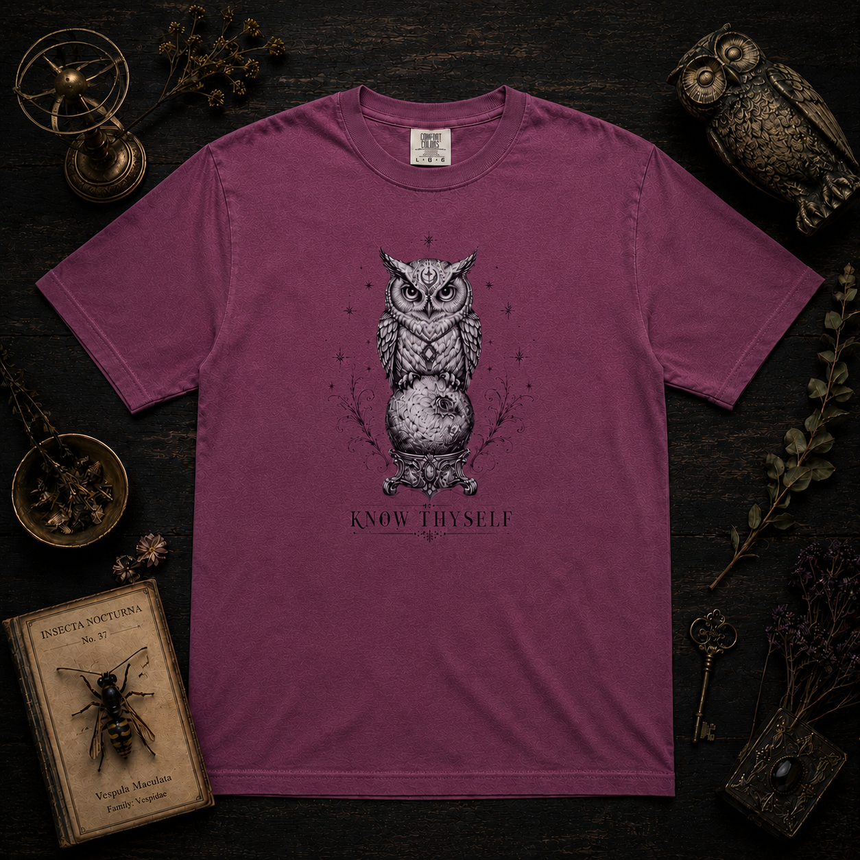 Know Thyself Owl T-Shirt - THE INK OF THE GRIMOIRES - Mystic Owl Graphic Tee